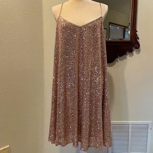 NWT Johnny Was Rose Sequin Swing Dress XL
